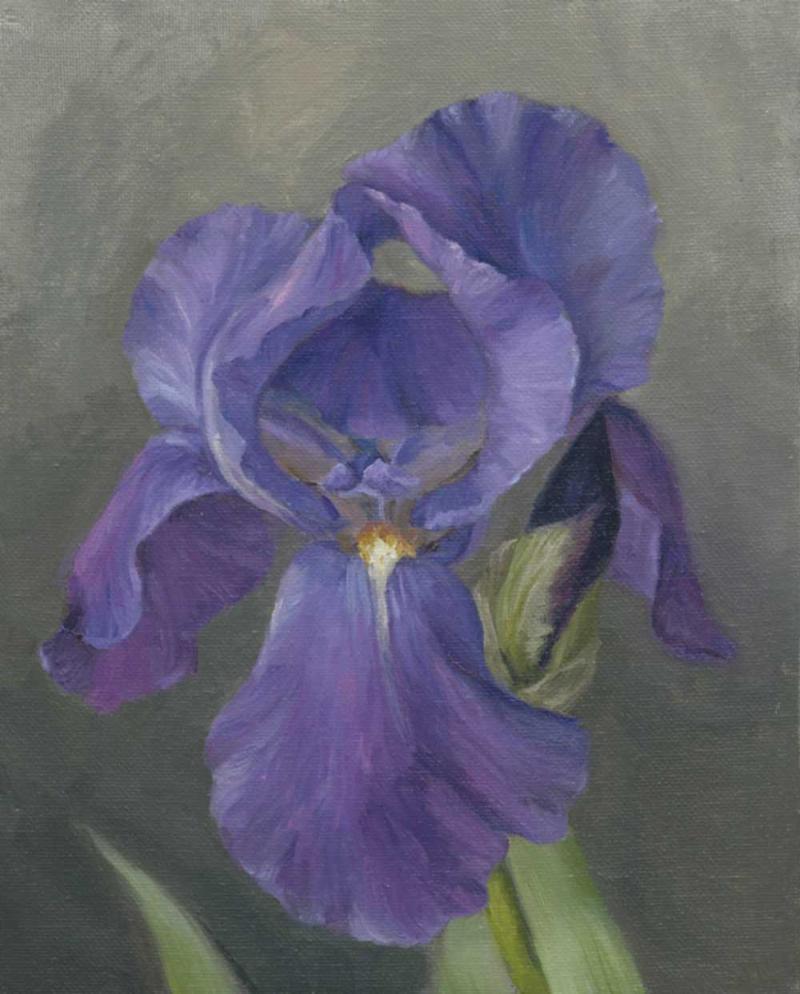 Iris I